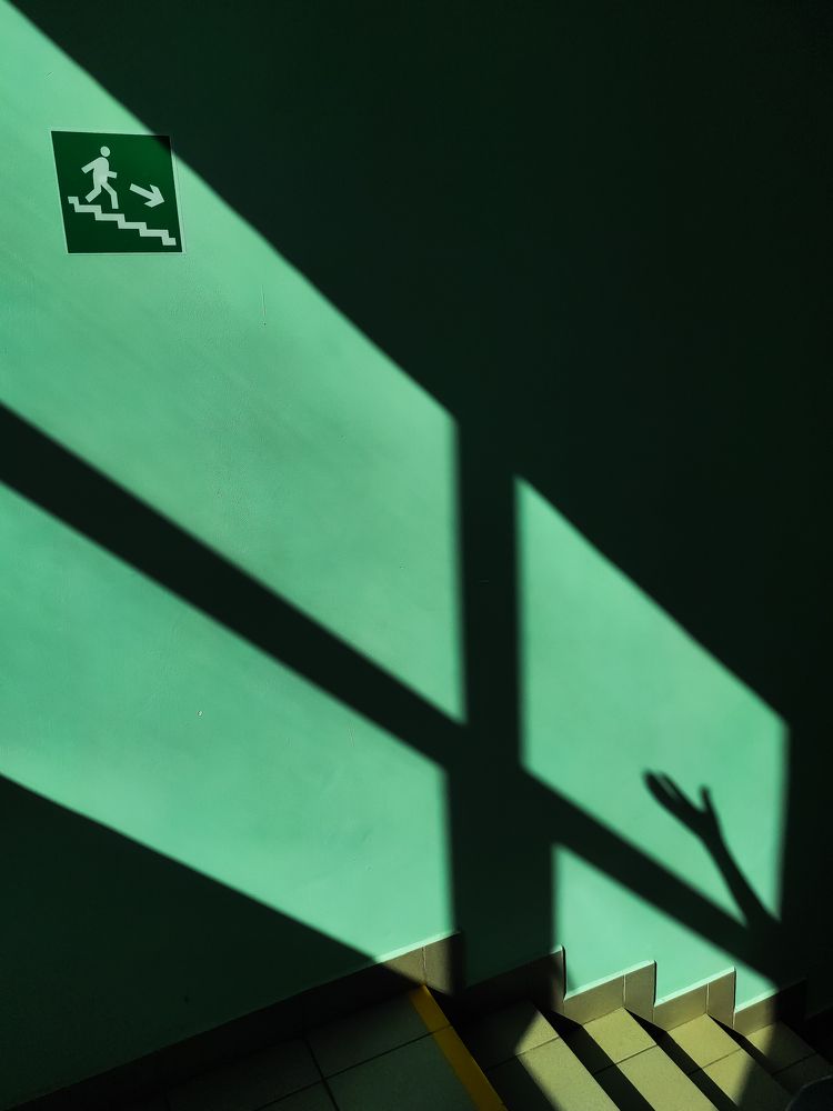 Photograph by Елена Новикова