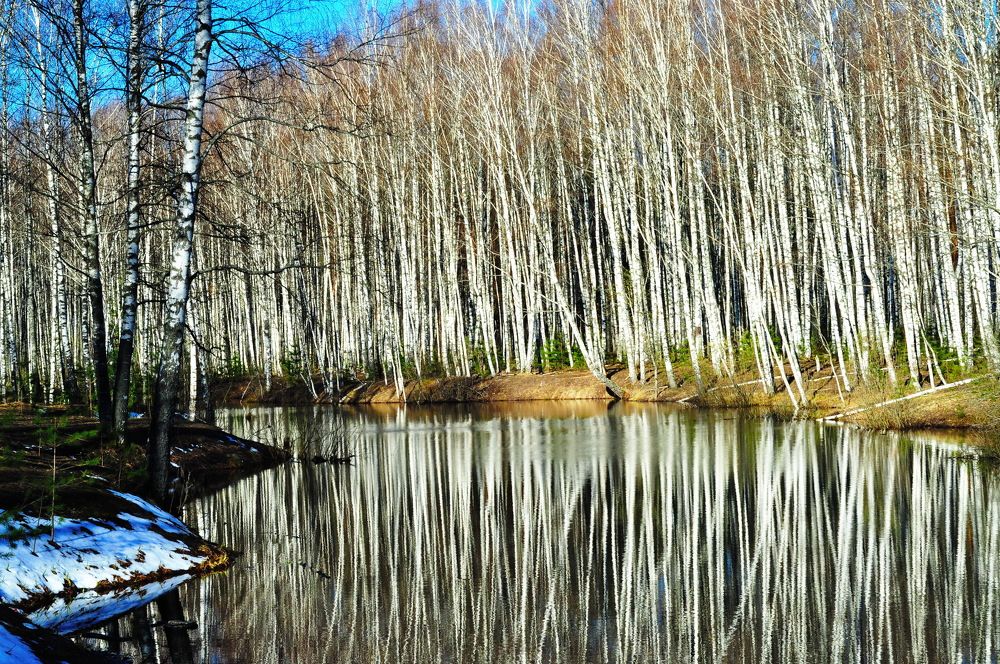 Photograph by Михаил Колосов