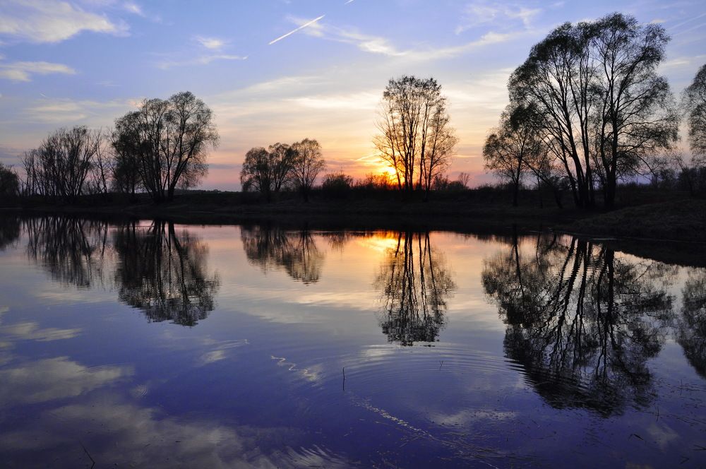 Photograph by Михаил Колосов