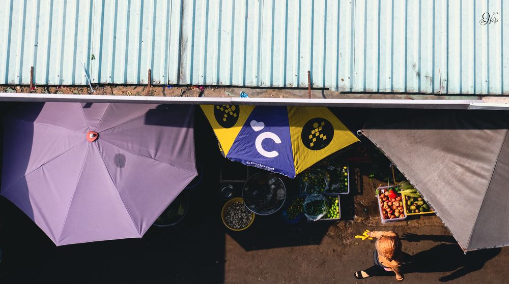 Фотография автора Nguyen Nguyen .N