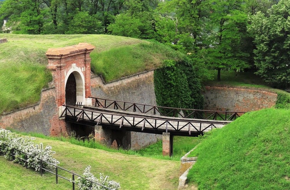 Photograph by Марина Раткун