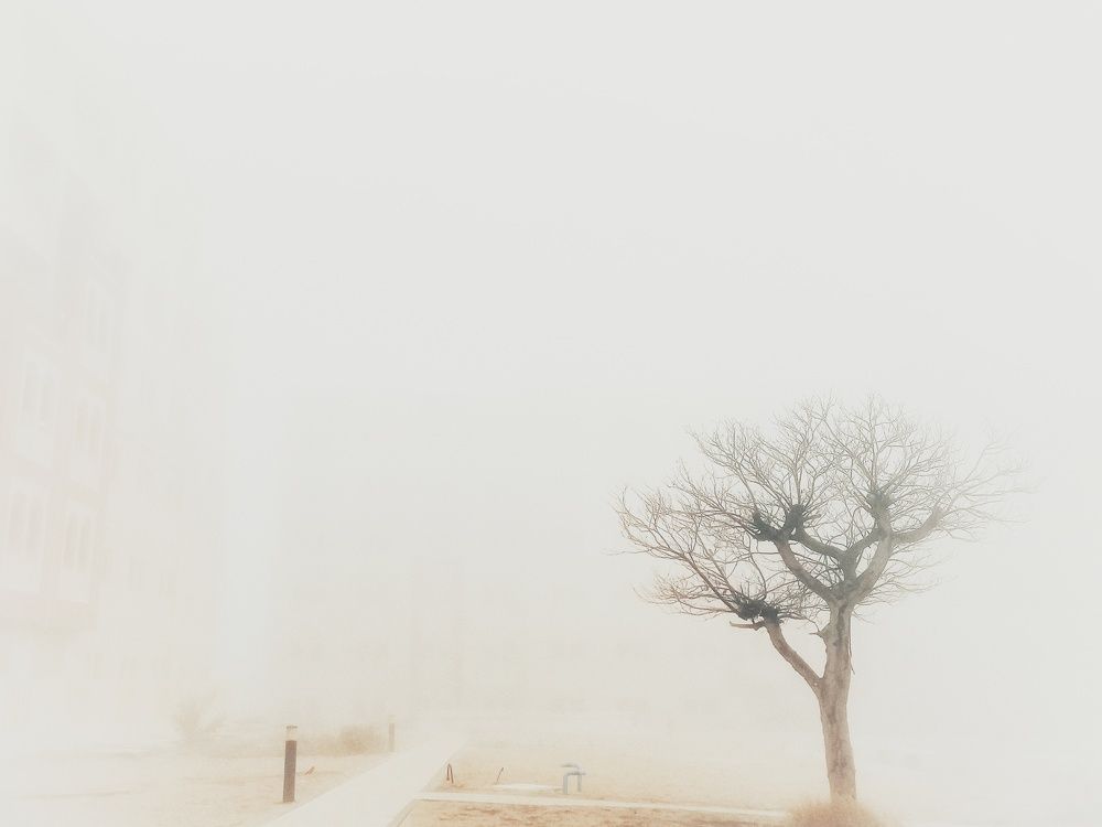 Photo #6881865
