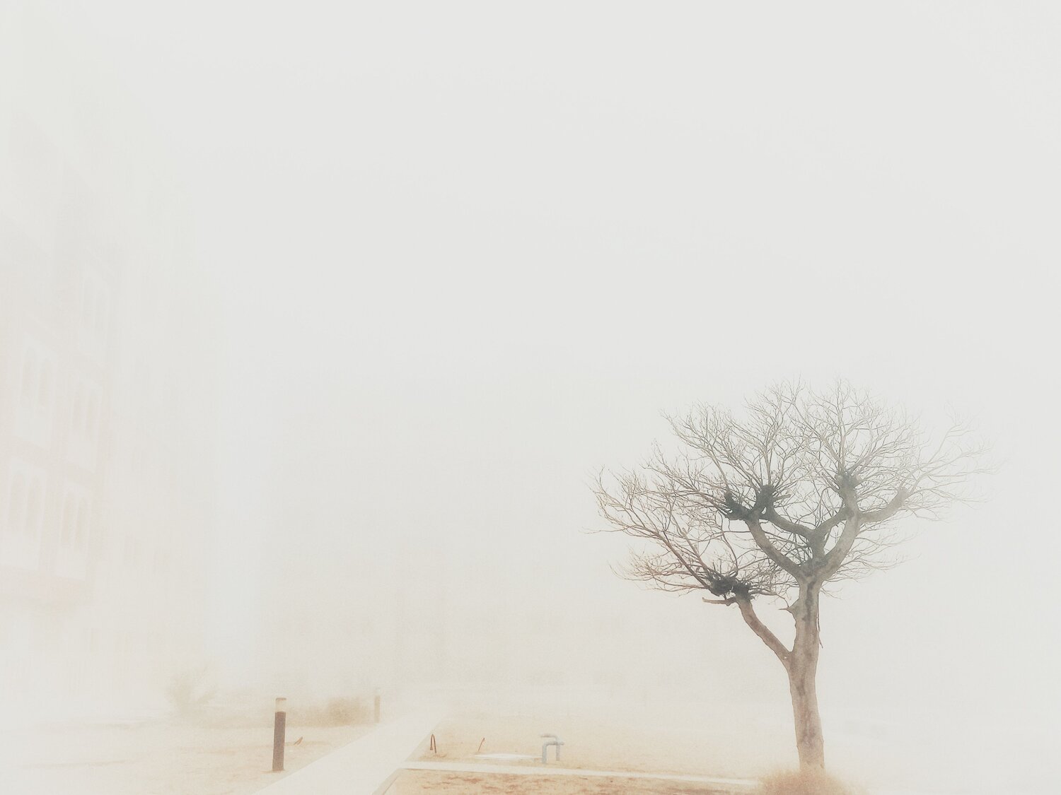 Photo #6881865