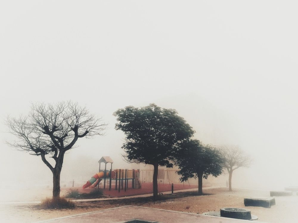 Photograph by Alyona Voronova