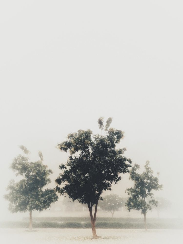 Photo #6881868