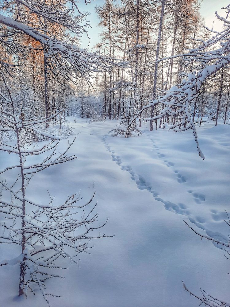 Photograph by Николай Никонов