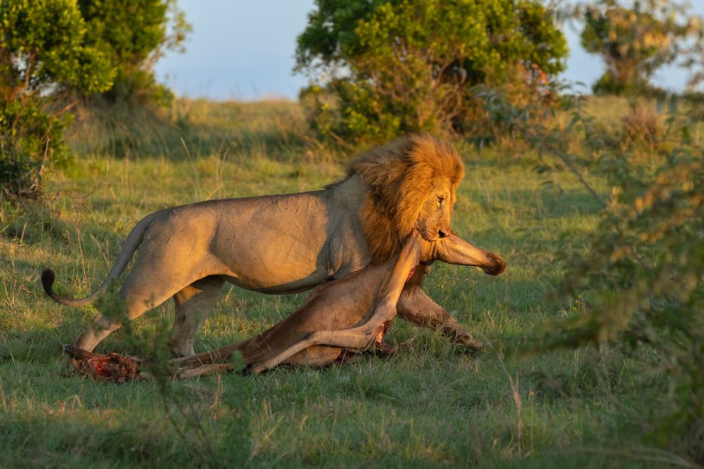 Photograph by Vinod C L