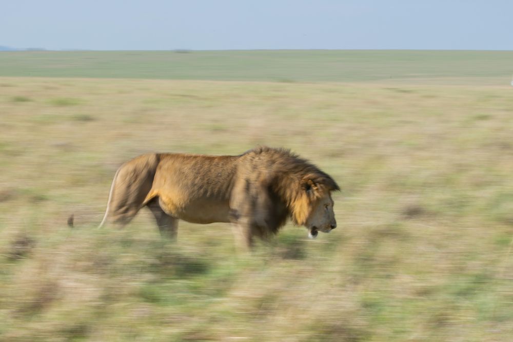 Photograph by Vinod C L