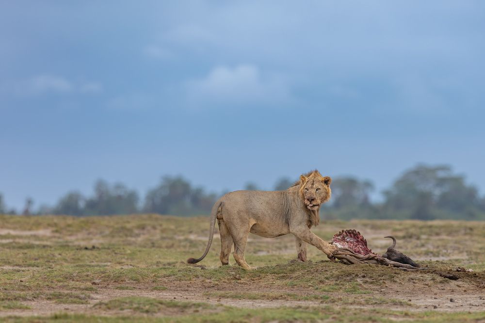 Photograph by Vinod C L