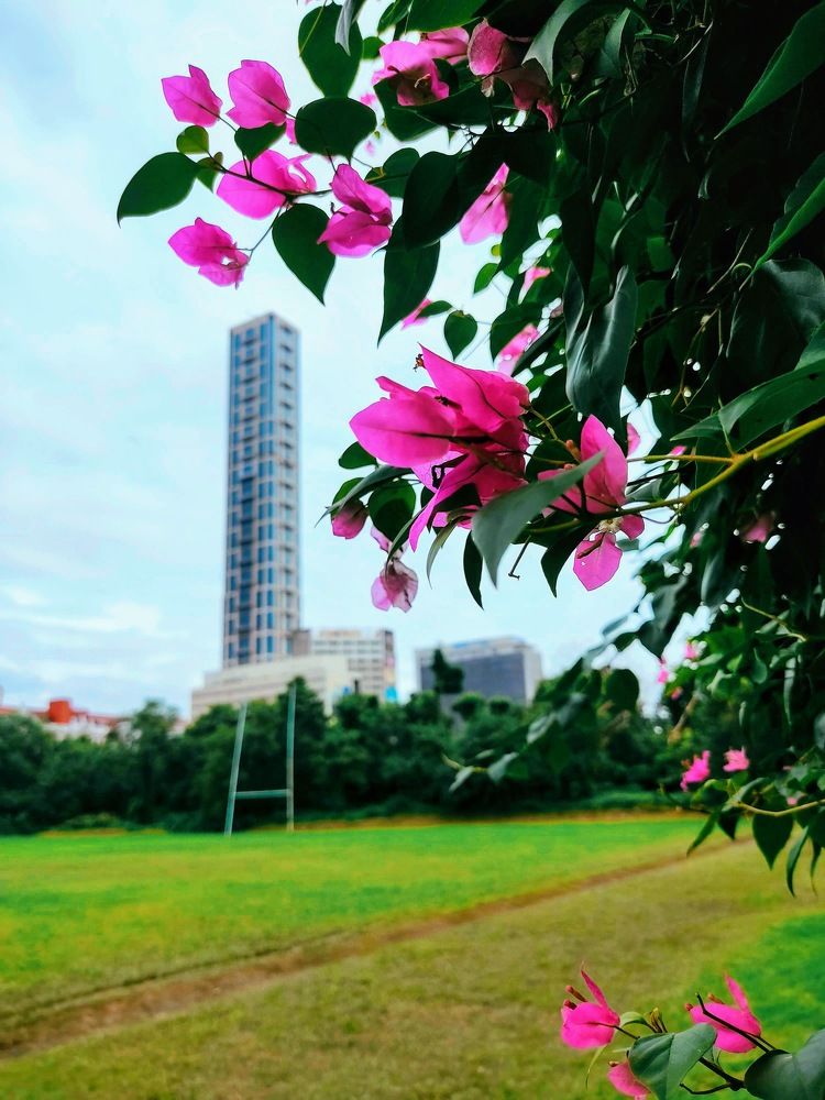 There is a story in every corner of the CITY ...