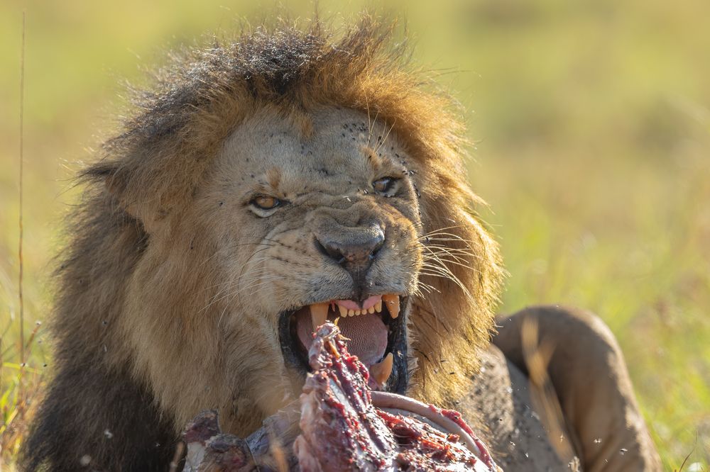 Photograph by Vinod C L