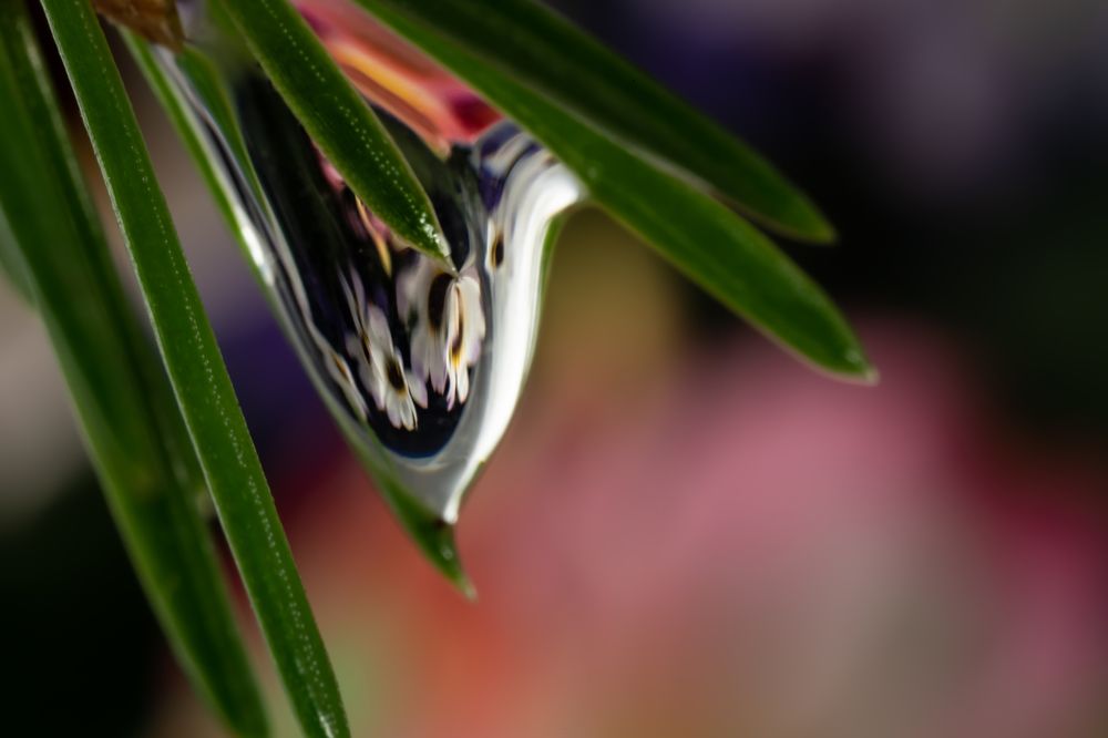 Photograph by Николай Фонарёв