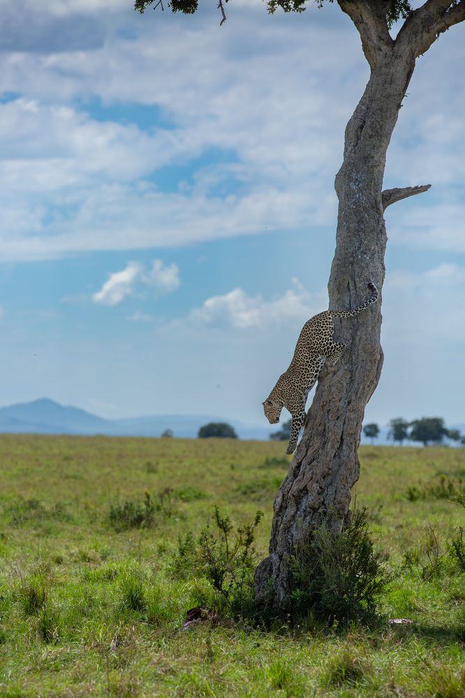 Photograph by Vinod C L