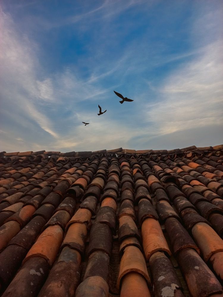 Photograph by deepak munda Roll no.-39 sem-1