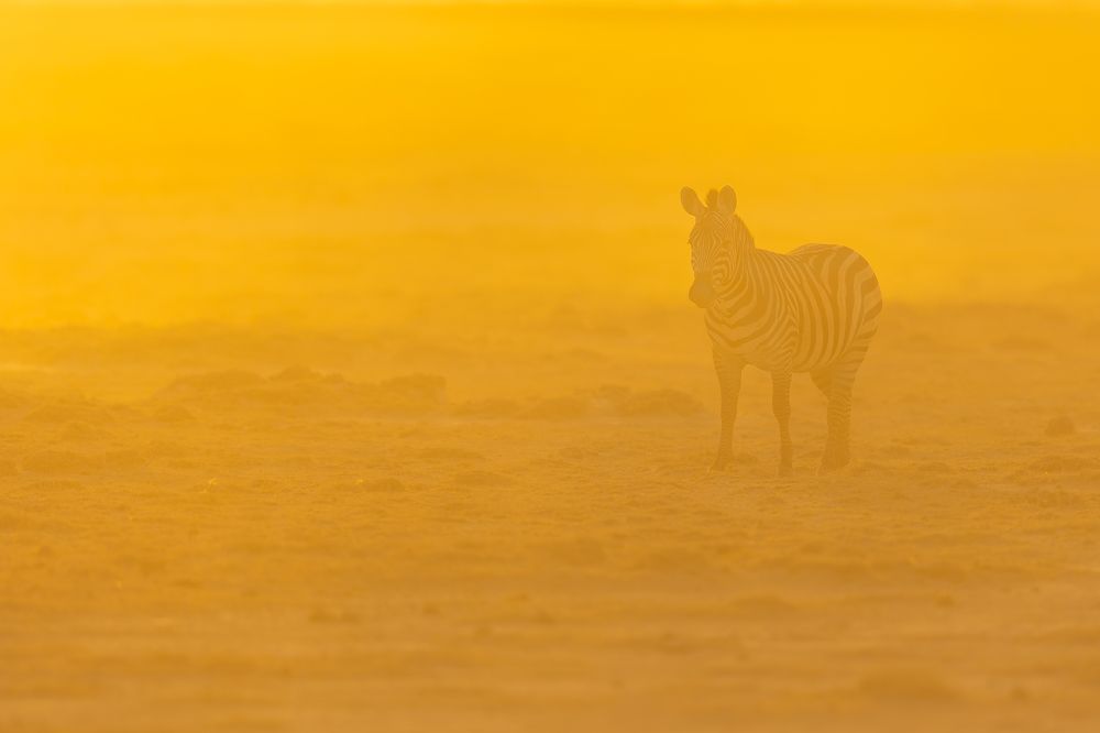 Photograph by Vinod C L