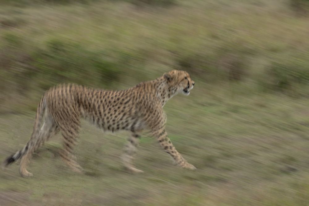 Photograph by Vinod C L