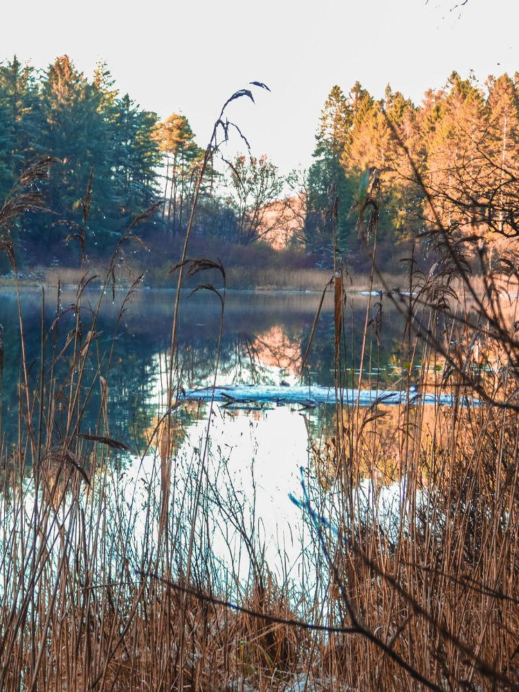 Фотография автора Michael Gault