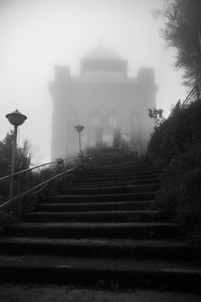 Photograph by Reza Mohammadi