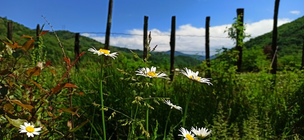 Photograph by Ольга