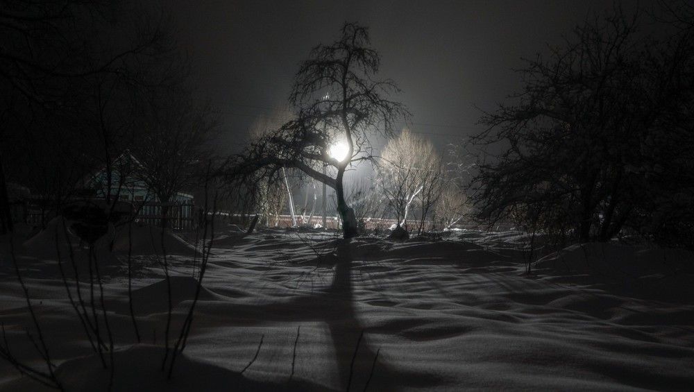 Photograph by Веденин Егор