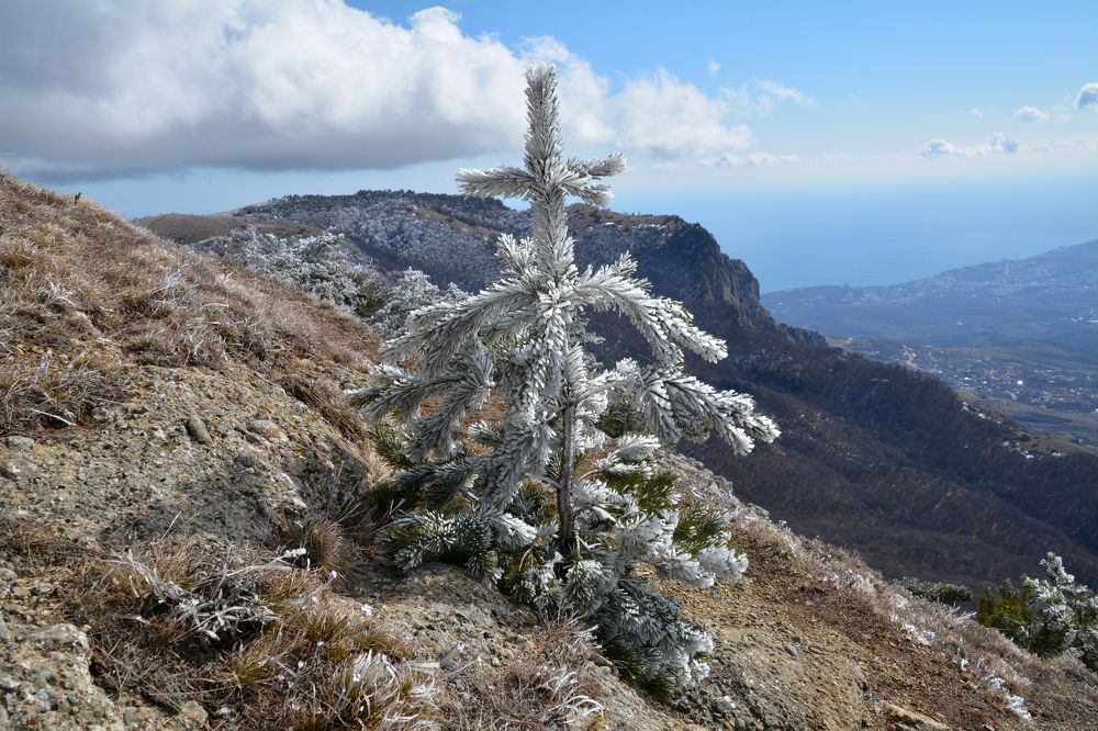 Photograph by Екатерина Крючкова