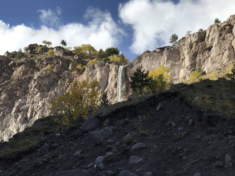 Photograph by Juli-sunny