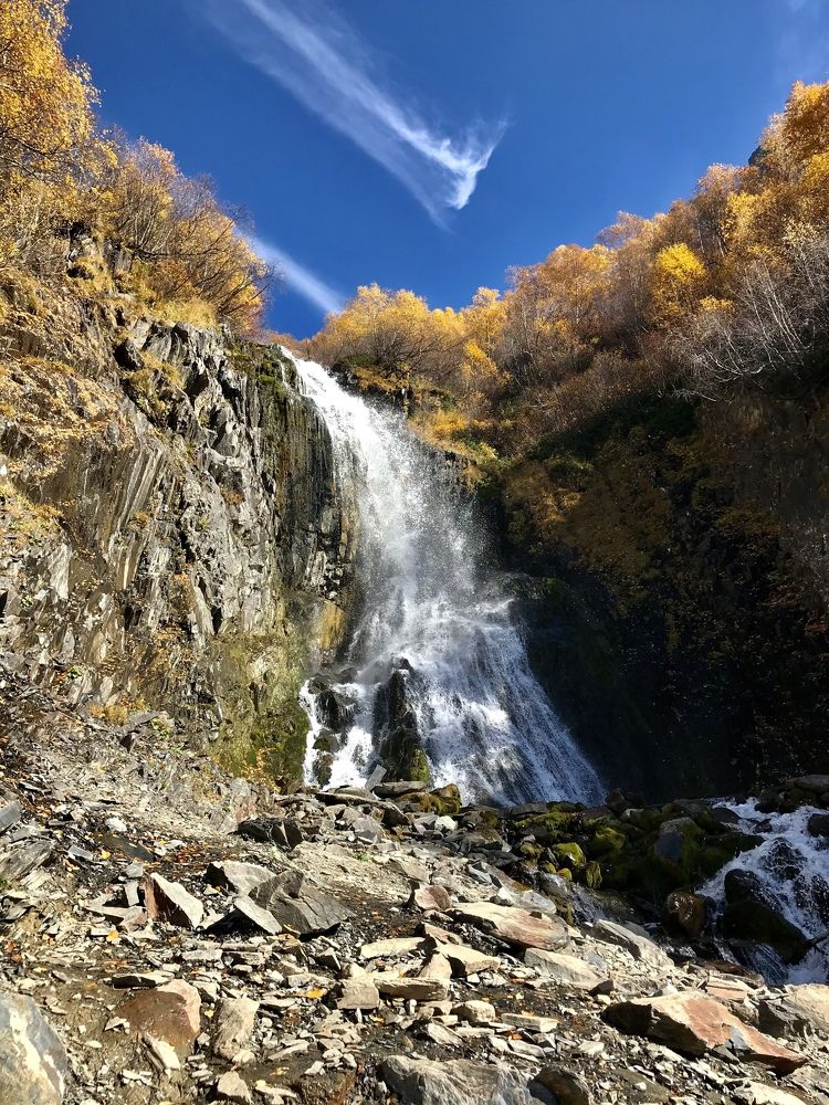 Photograph by Juli-sunny