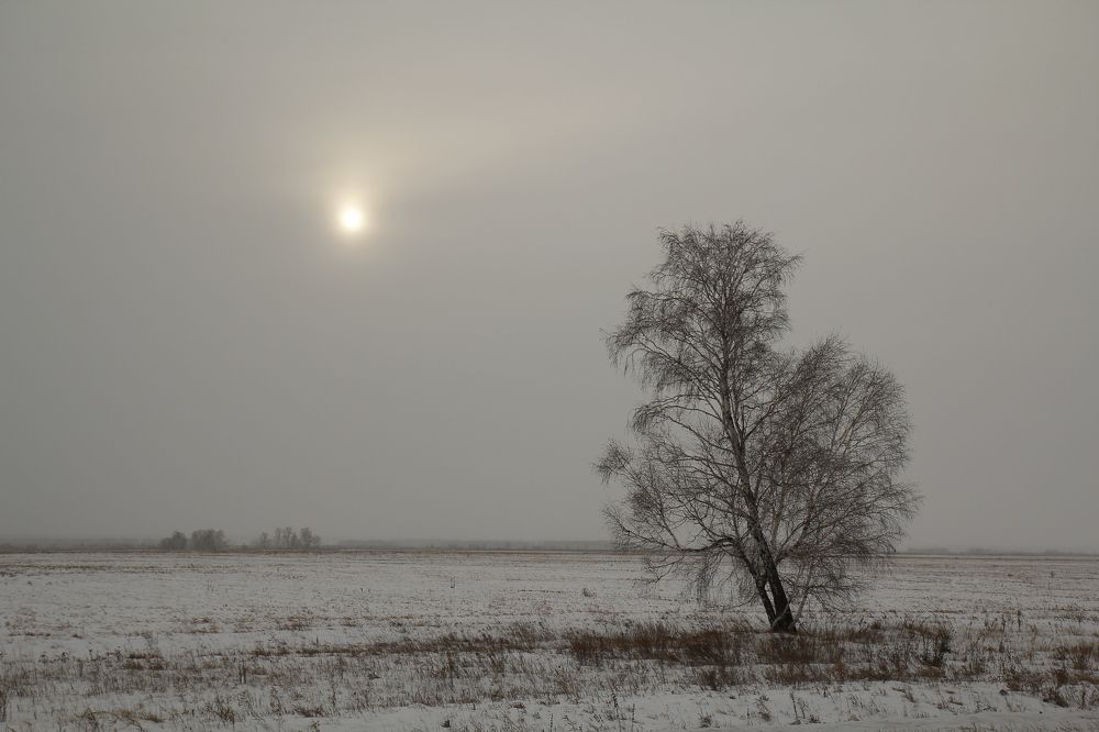 Photograph by Игорь Кутний