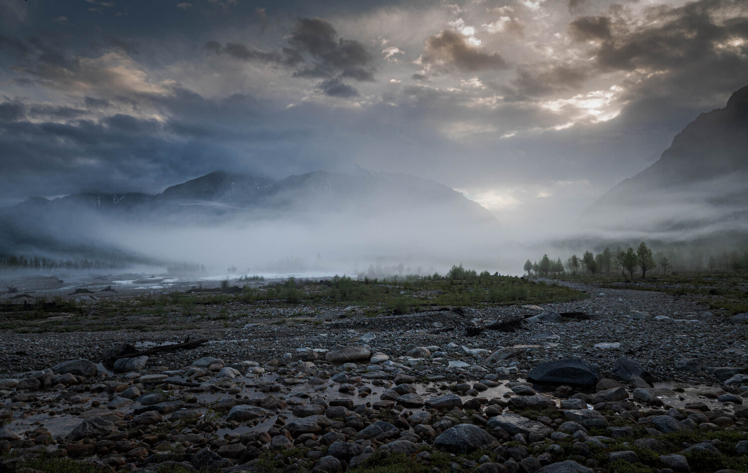 Photo #6882240