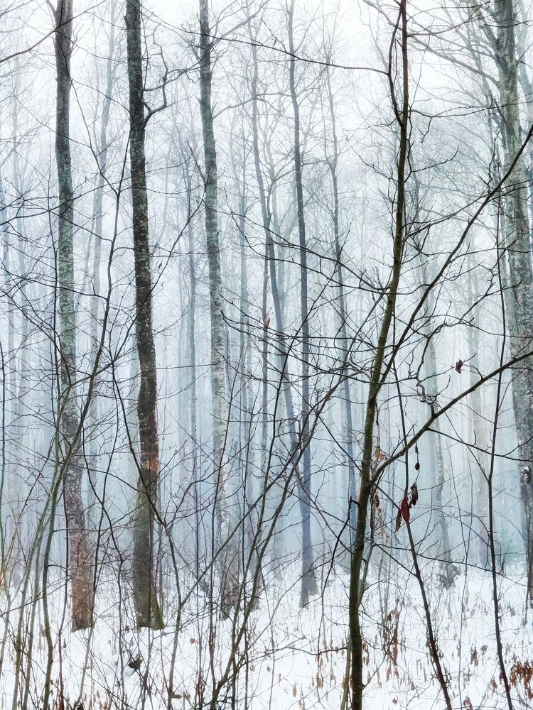 Photograph by Anastasia Uraeva