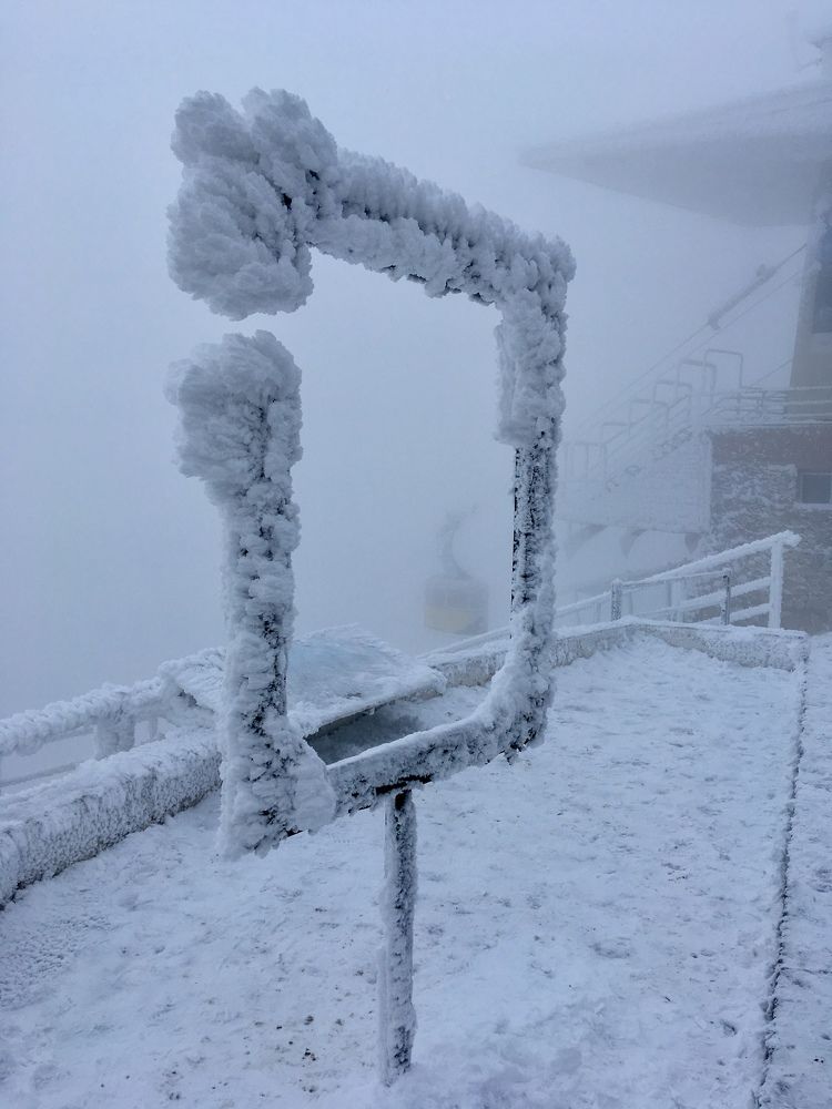 Photograph by Juli-sunny