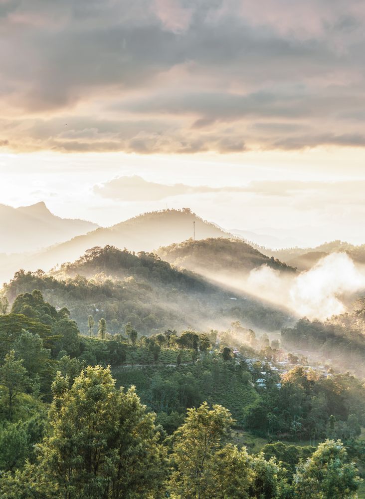 Photograph by Darmarathna Neranjan