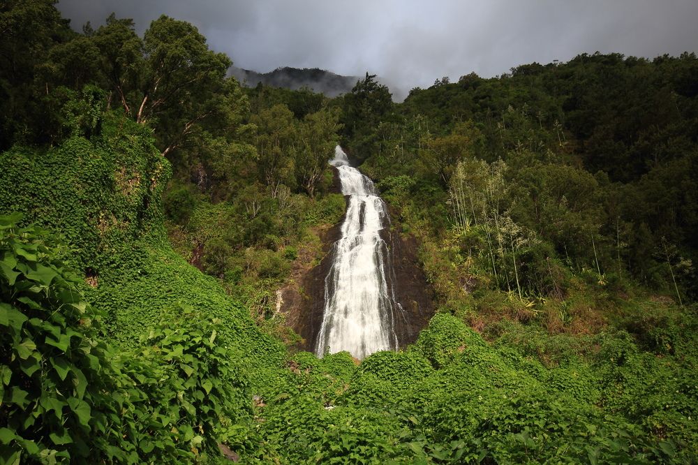 Photograph by Popa Alin