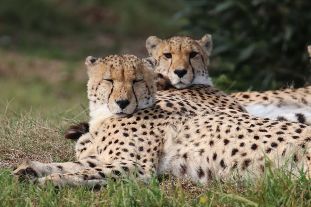 Photograph by Debbie Grady
