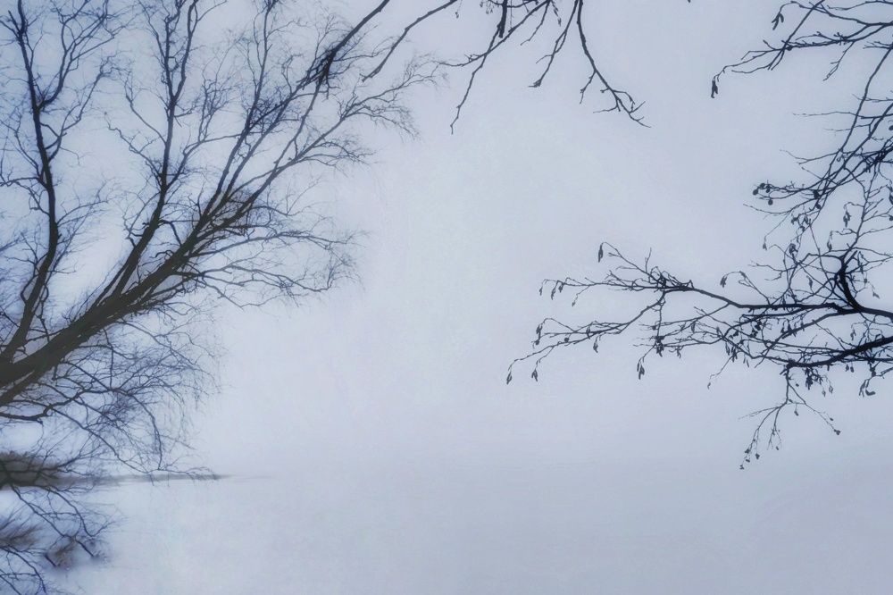 Photograph by Anastasia Uraeva
