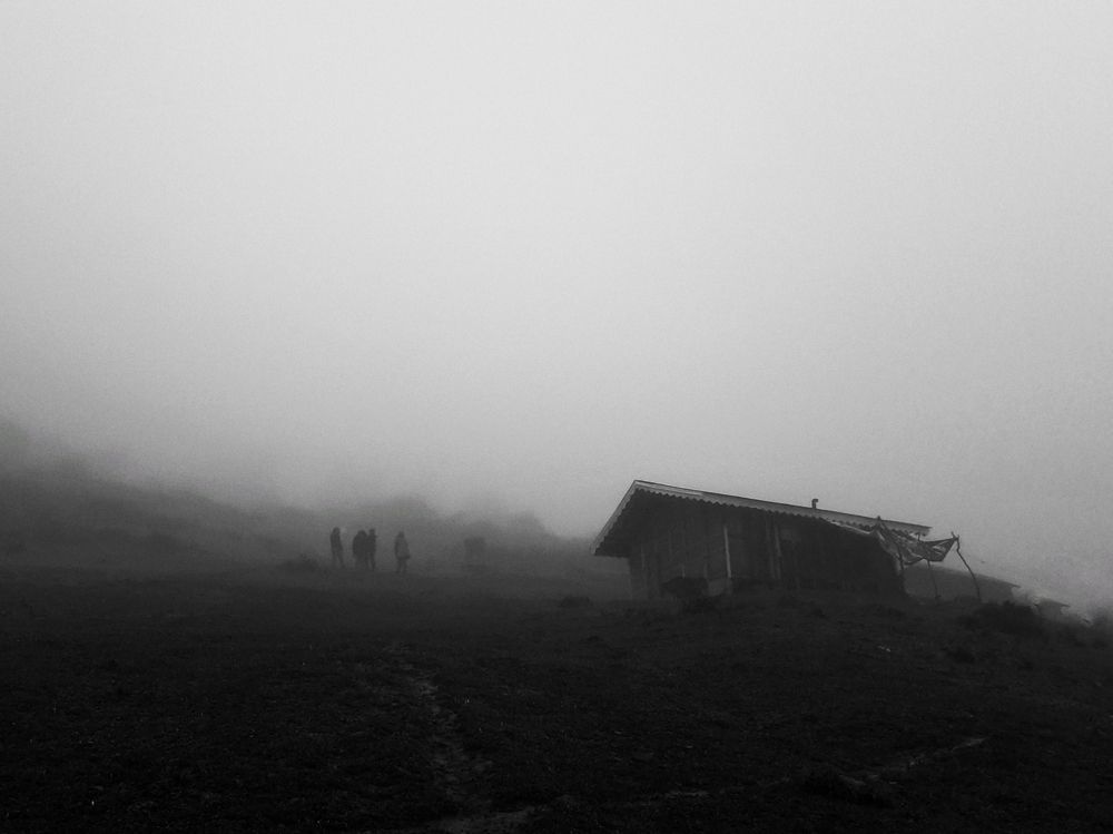 Unity and pleasure in a vague foggy morning