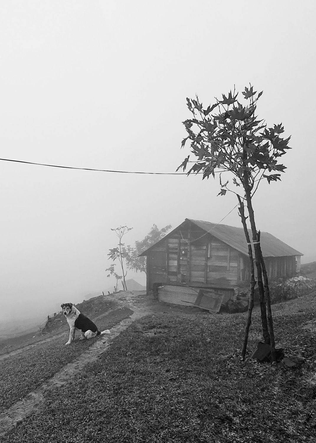 Solitude in a dismal day