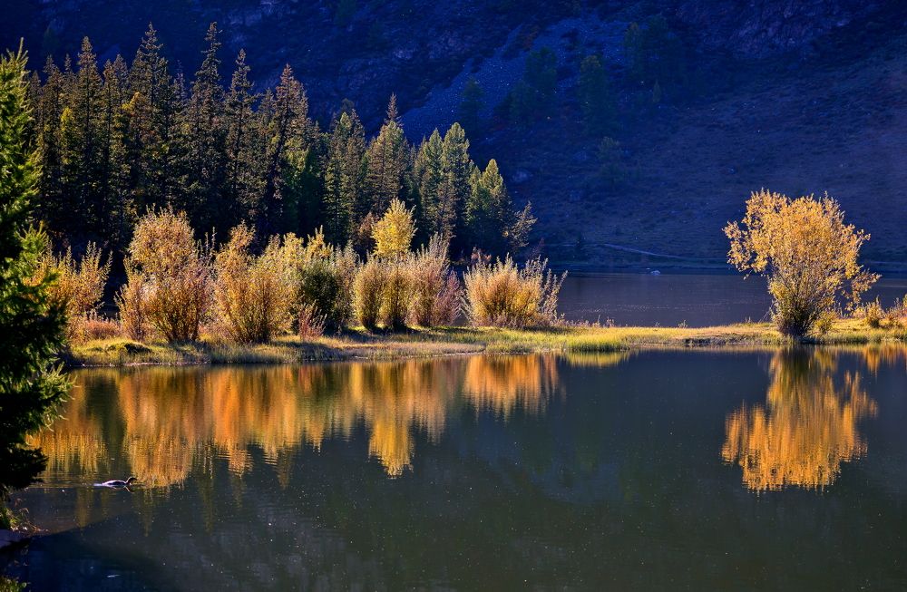 Photograph by Анатолий Стафичук