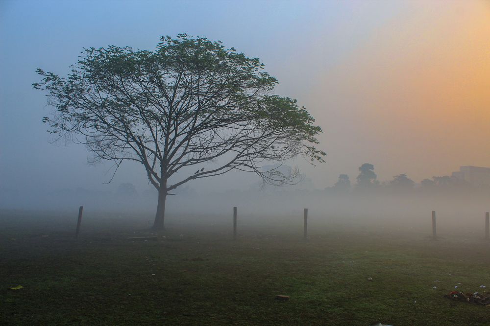 Photograph by Arpan Biswas