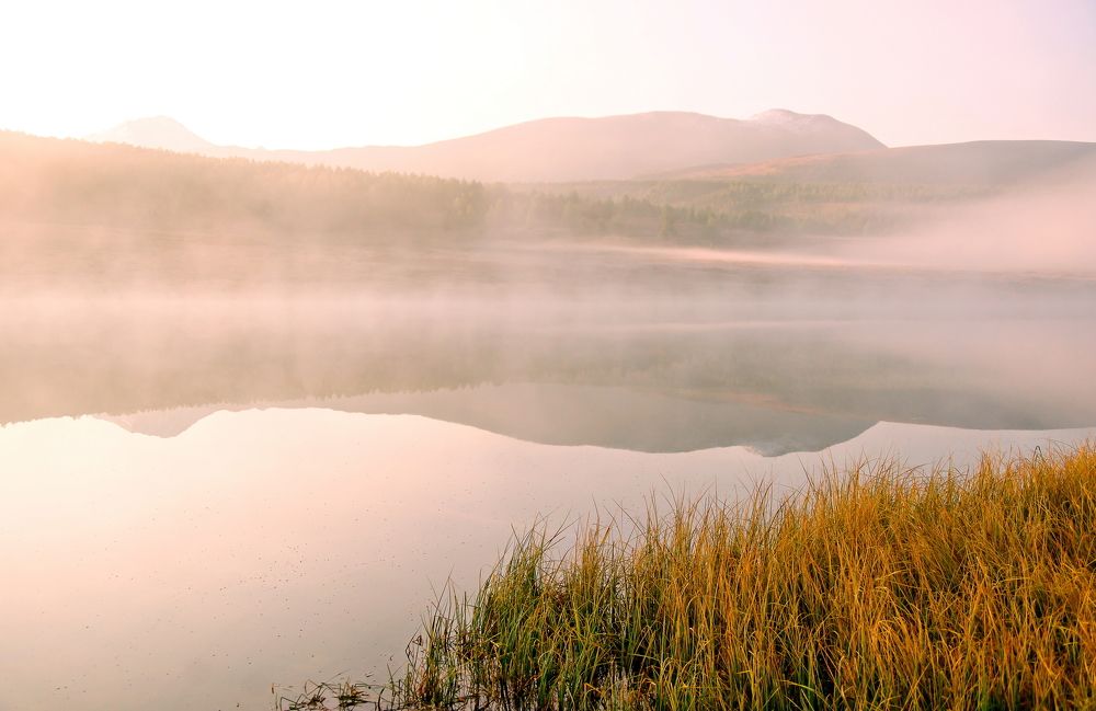 Photograph by Анатолий Стафичук