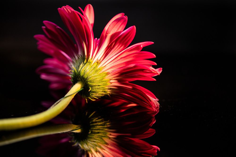 Photograph by Rahel Barenshtein