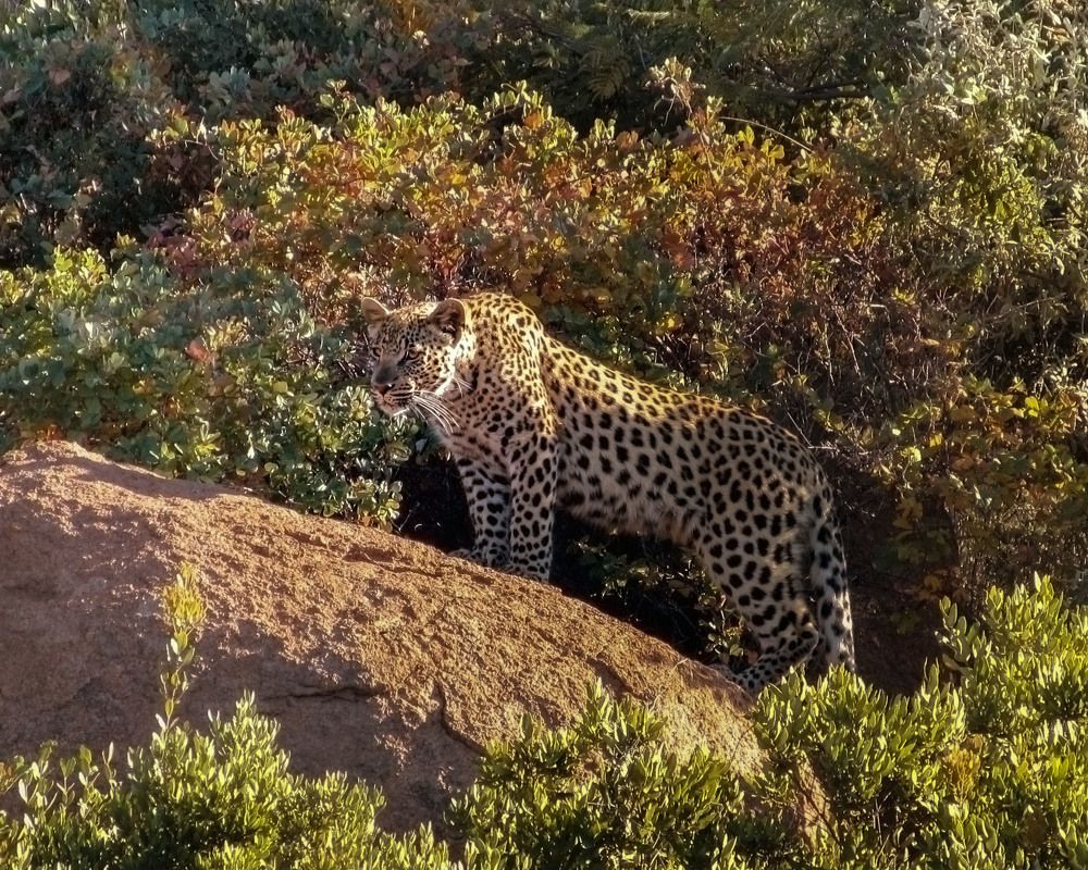 на  границе своих владений