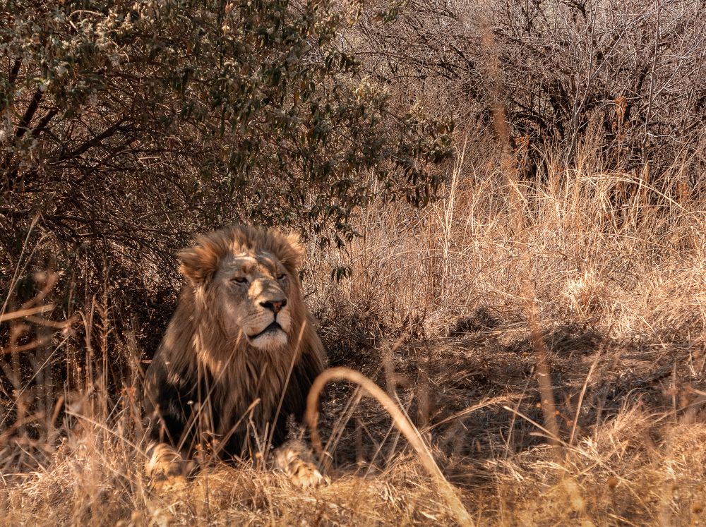 сон  после  обеда