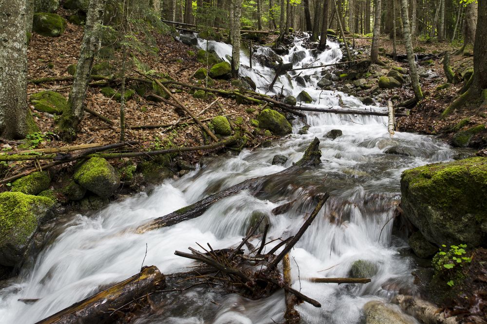 Photograph by Александр