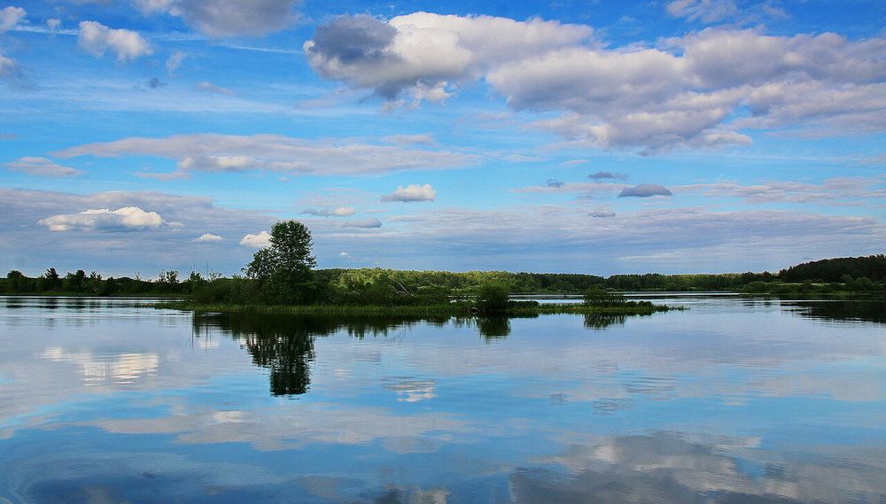 Фотография автора АЛЕКСАНДР ЦЫГЕЛЬНЮК
