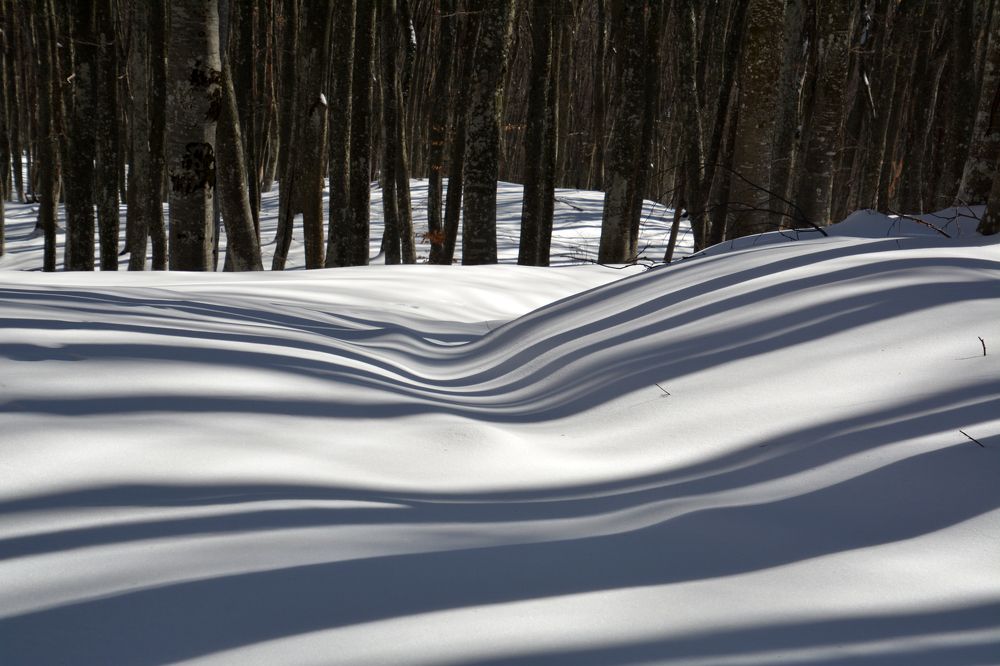 Photograph by Екатерина Крючкова