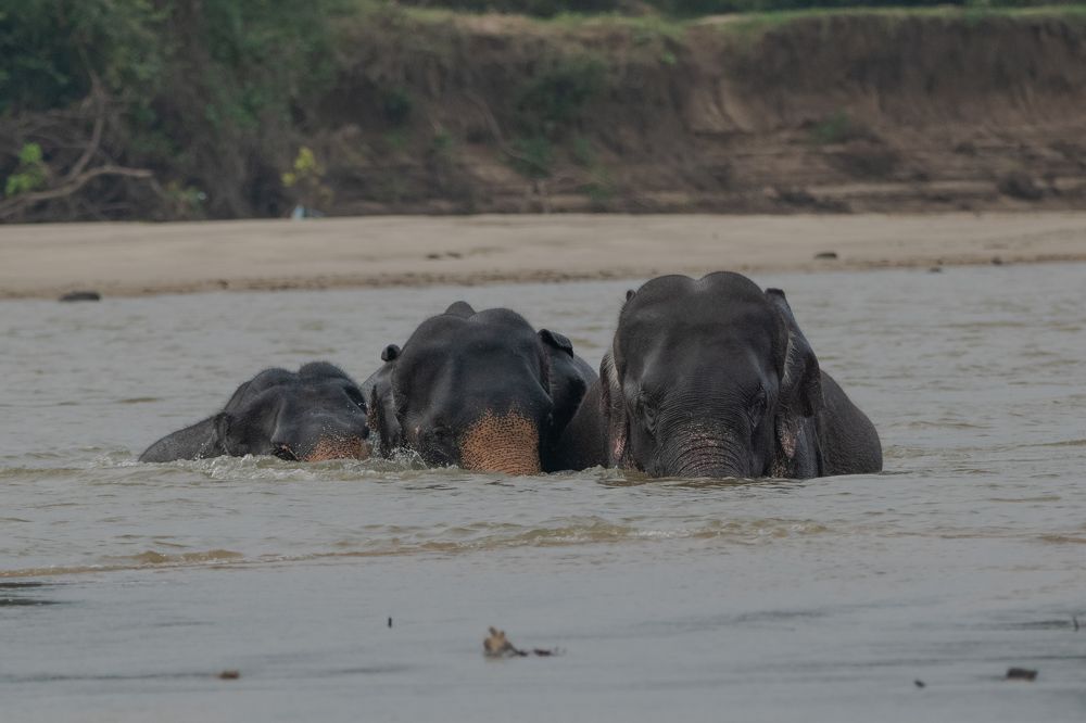 Photograph by Thillainayagam Sabesh