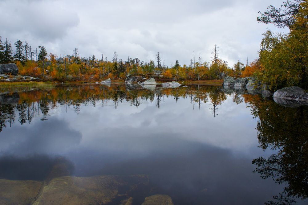 Фотография автора Екатерина Кожевникова