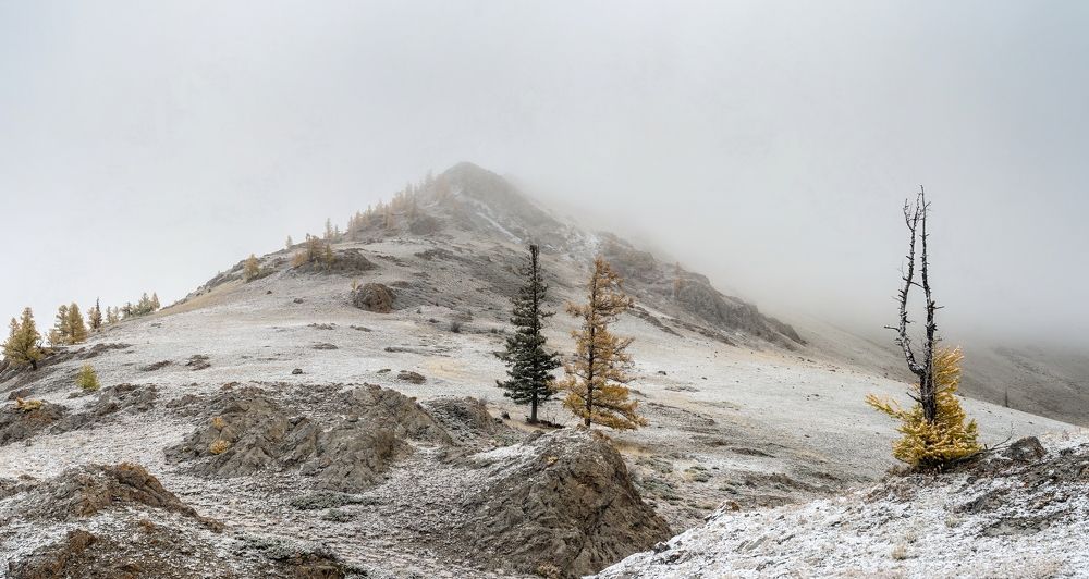 Туманное утро.