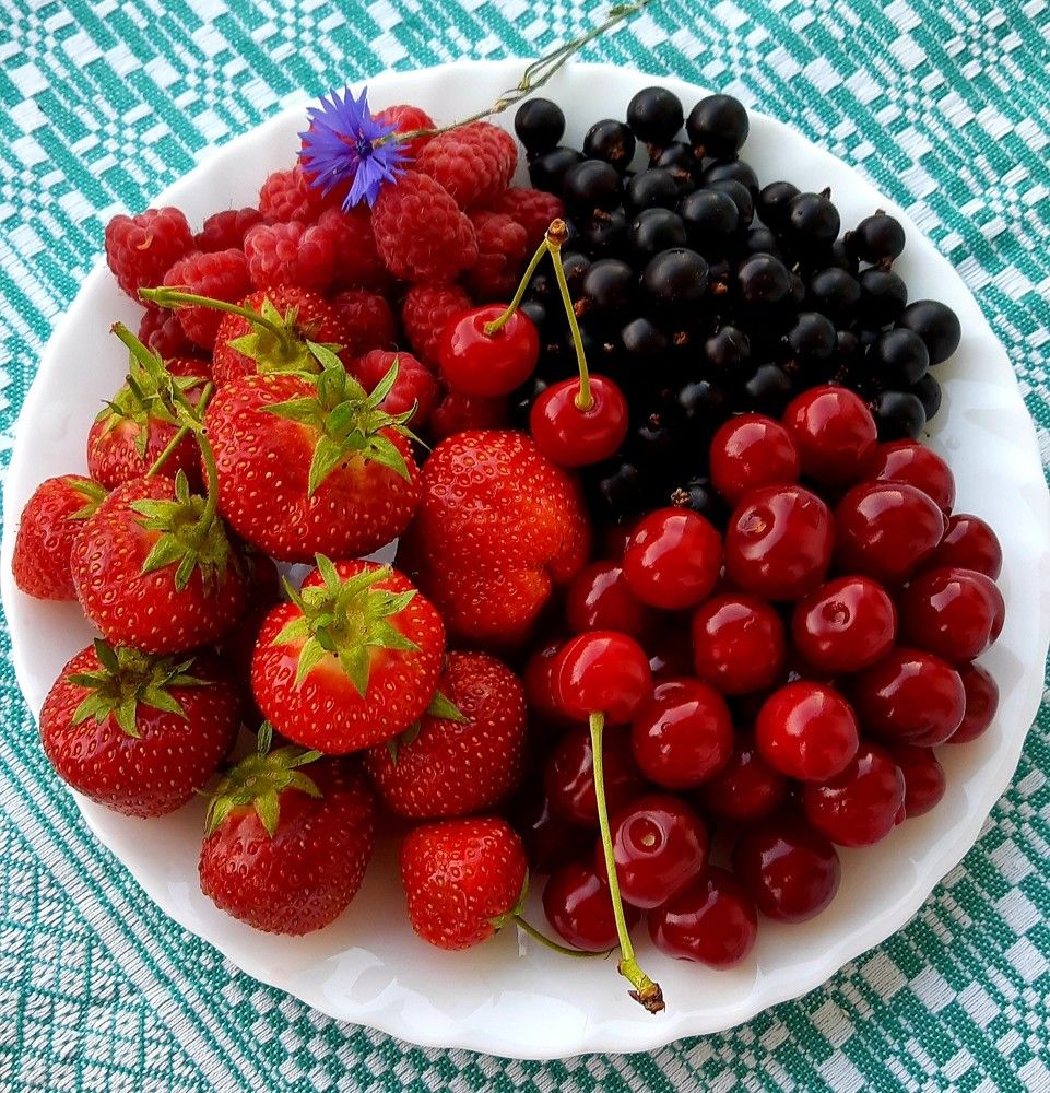 Фотография автора Ирина Лукьянчик